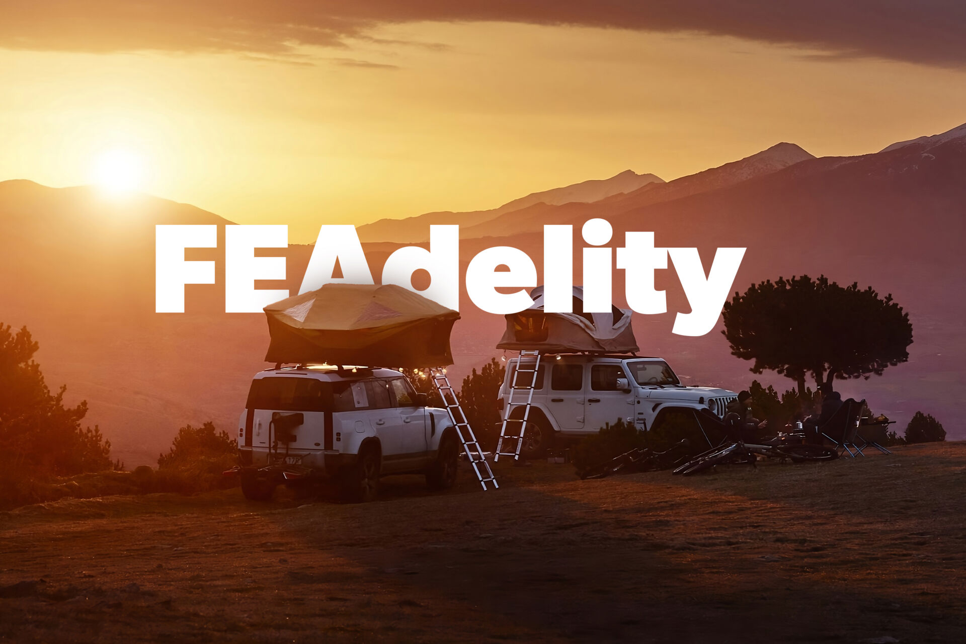 FEAdelity Welcome 2 FEAdelity Welcome svg+xml;charset=utf